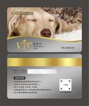 宠物店会员卡图片