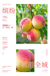 新鲜桃子海报