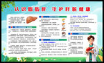 认识肝脏 守护肝脏健康