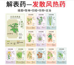 中草药大全之发散风热药