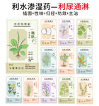 中草药大全之利尿通淋