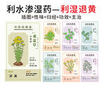 中草药大全之利湿退黄