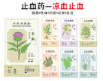 中草药大全之凉血止血药