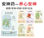 中草药大全之养心安神药