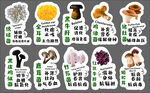 常见菌类展示图