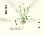 中药木贼接骨草
