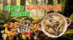 野生菌火锅海报