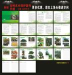 古树名木保护手册
