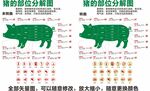 猪肉分割部位图