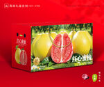 柚子包装 蜜柚礼盒