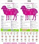 羊的部位分布图