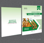 玉米封面