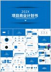 202X项目商业计划书模板