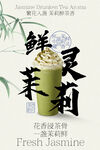 鲜萃茉莉花香绿茶海报