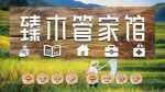 乡村自然风