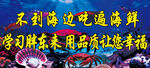 海鲜