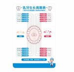 乳牙生长顺序图