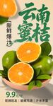 云南蜜桔 
