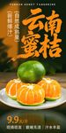 云南蜜桔