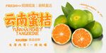 云南蜜桔 