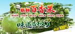 百香果 
