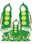 豆角美陈打卡点