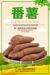 番薯