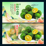 小青柠
