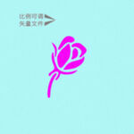 玫瑰花蕾 