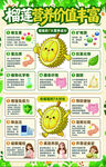 榴莲的7大营养成分 7大好处