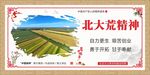 北大荒