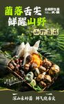 野生菌海报