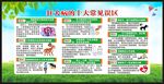 世界狂犬病日宣传栏