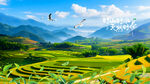绿水青山