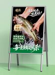 活鱼现杀海报