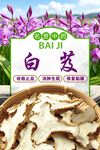 白芨