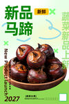 马蹄