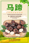 马蹄