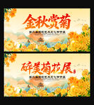 赏菊
