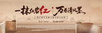 书画展主k