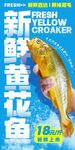 新鲜黄花鱼