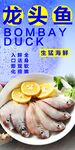 龙头鱼