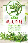 铁皮石斛