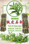 铁皮石斛