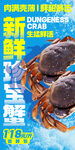 珍宝蟹