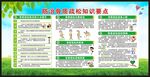 世界骨质疏松日宣传栏
