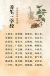 养生三字经科普海报