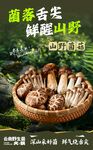野生菌海报