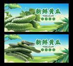 黄瓜