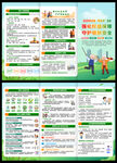 2026年全国敬老月三折页